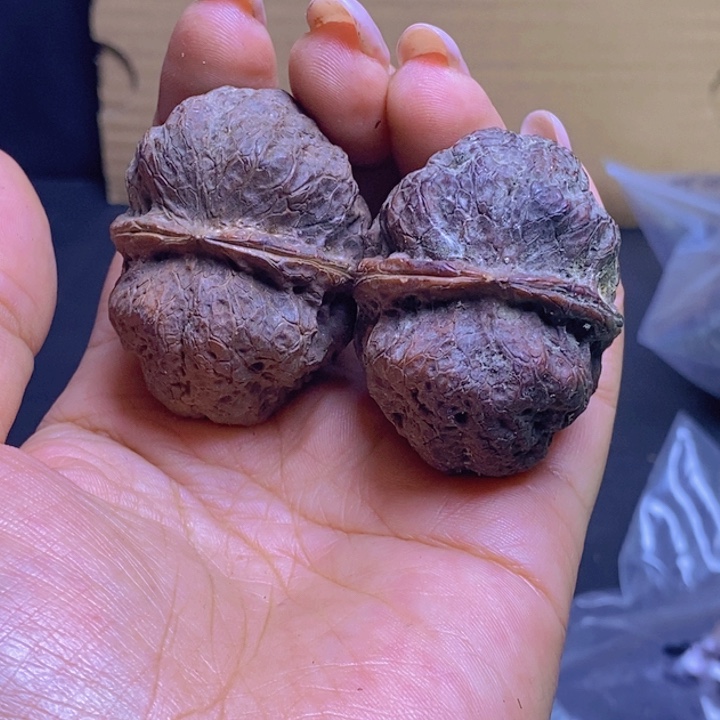 把件文玩核桃20-44mm微磕