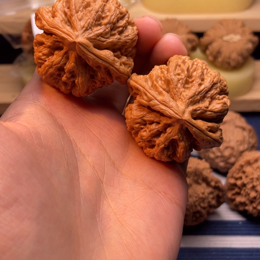 文玩核桃大粗筋45尺