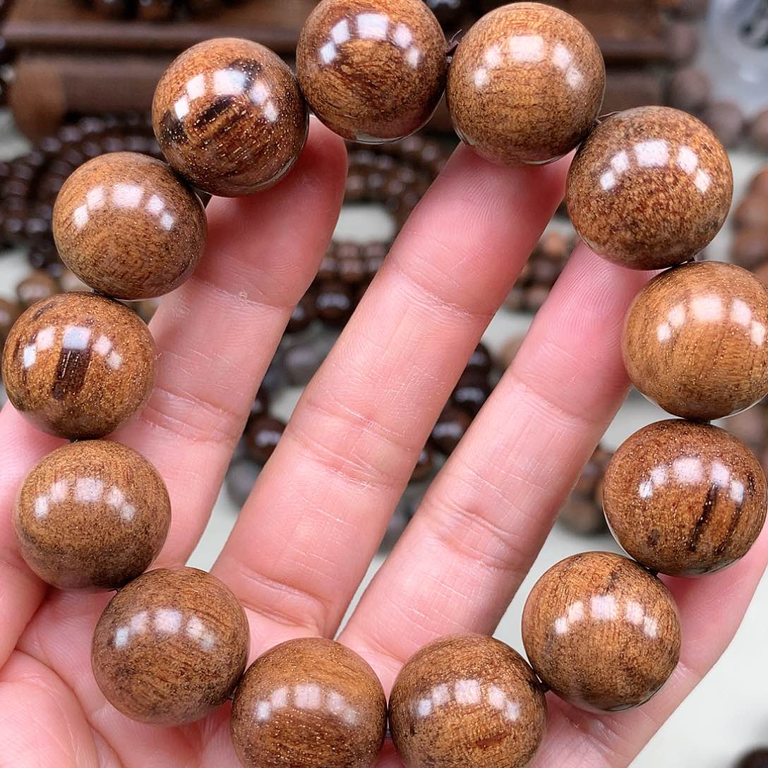 【闪购商品】贡木其他巴贡黄金龙虎皮1.8