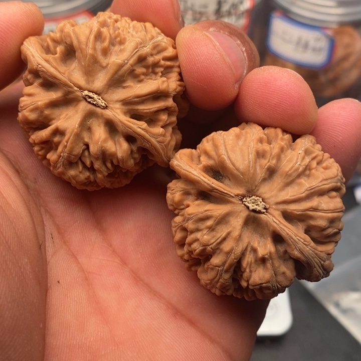 把件文玩核桃粗筋42