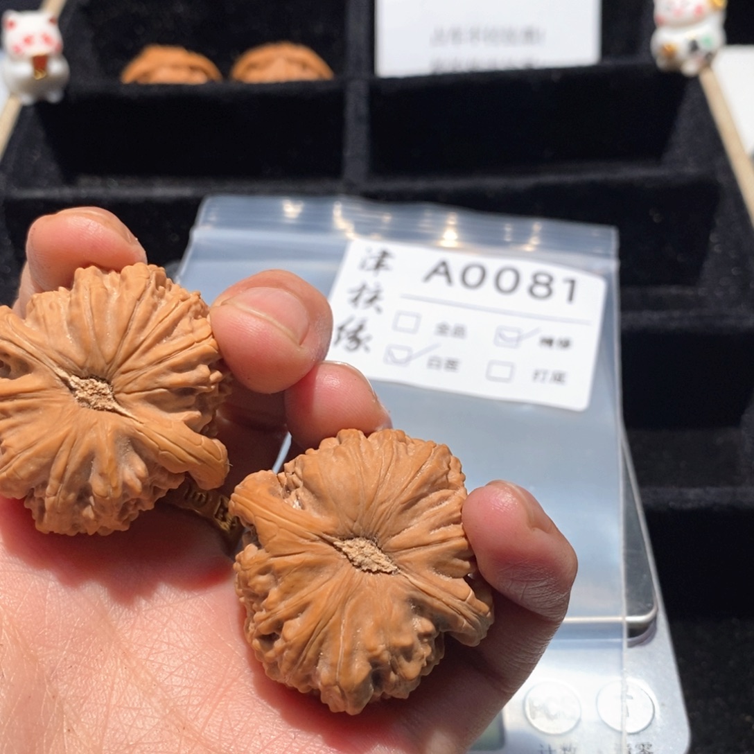 把件文玩核桃a0081白狮子40精修白茬