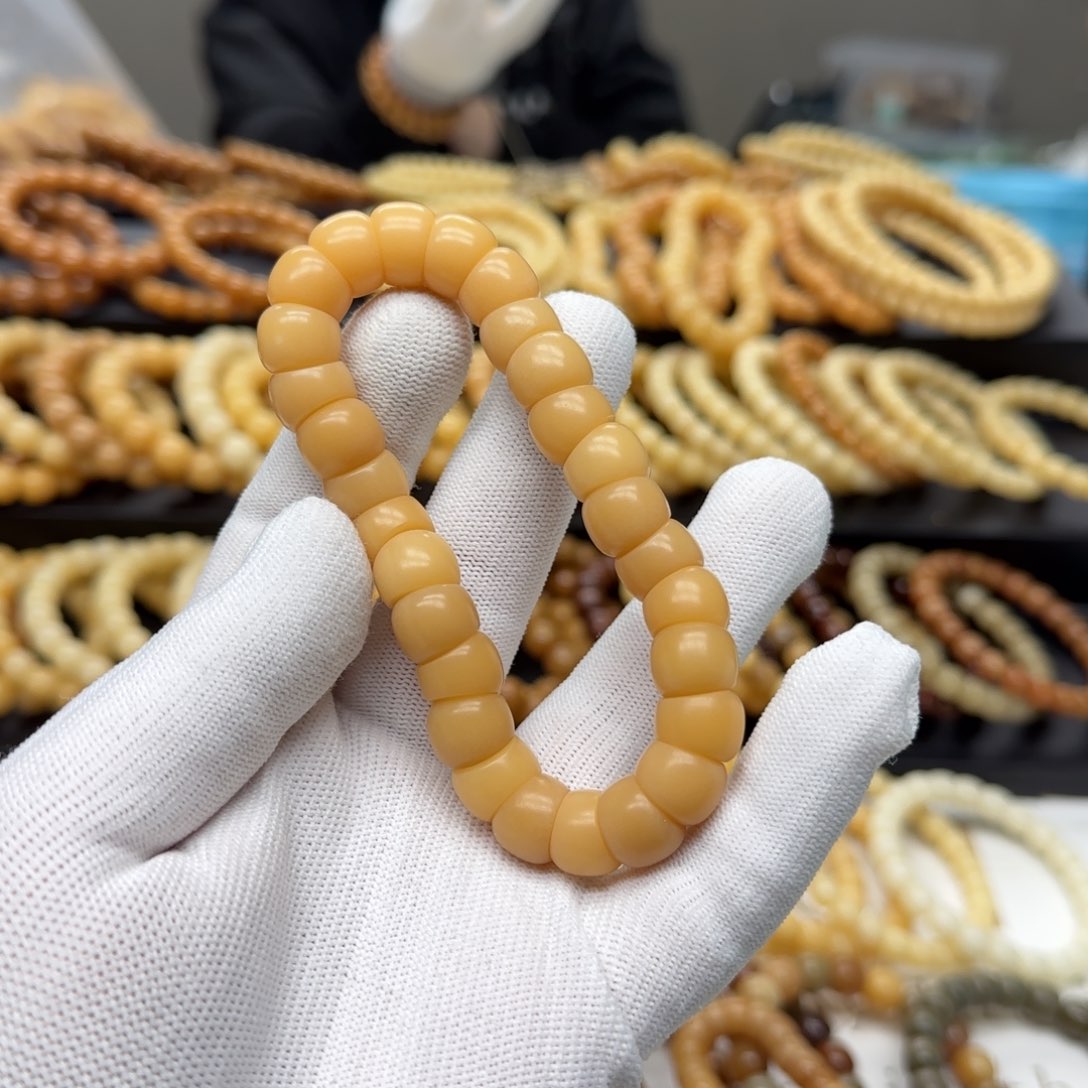 【闪购商品】菩提根/象牙果吊坠卡12 大肠 5年