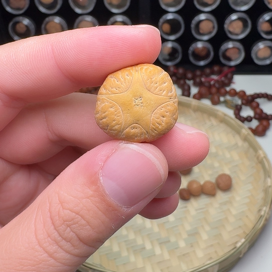 ****闹凤眼菩提吊坠五星