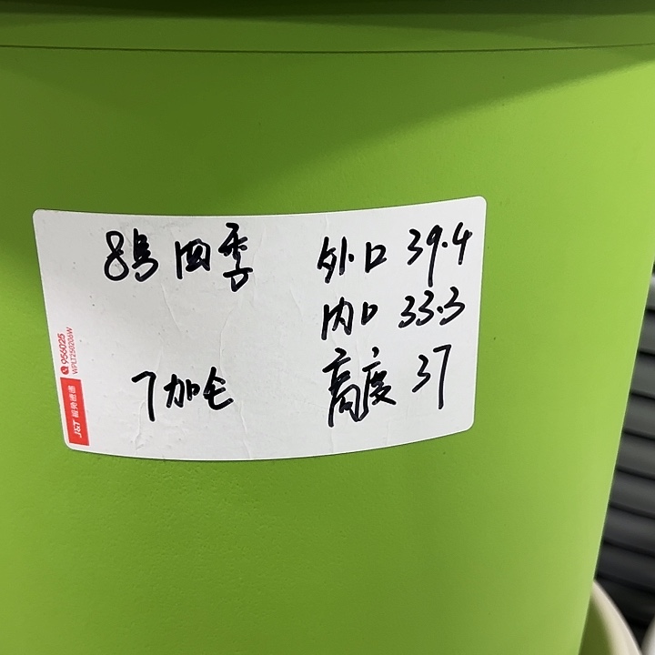 特价四季8号口39高37白色3只无托