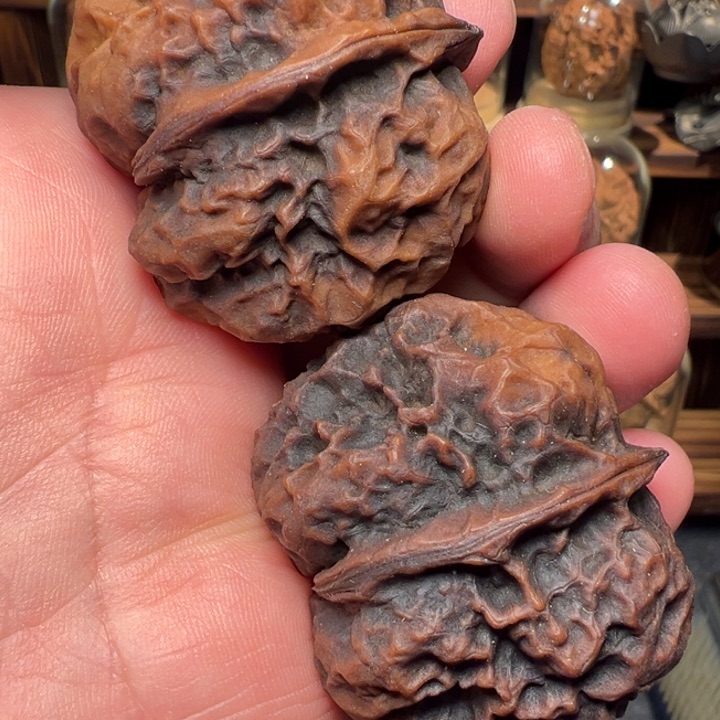 文玩核桃把件鬼脸元宝45mm