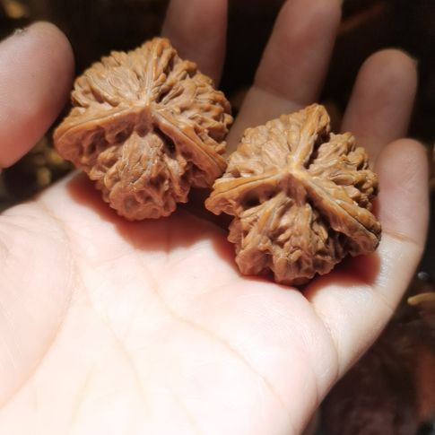 猴头核桃吊坠零*35盘山