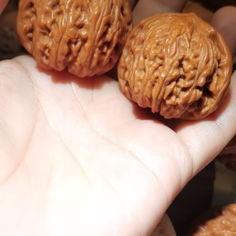 猴头核桃吊坠40野生