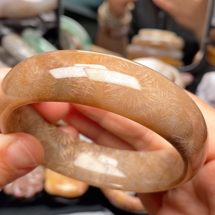 硅化珊瑚（珊瑚玉）手镯未镶嵌62