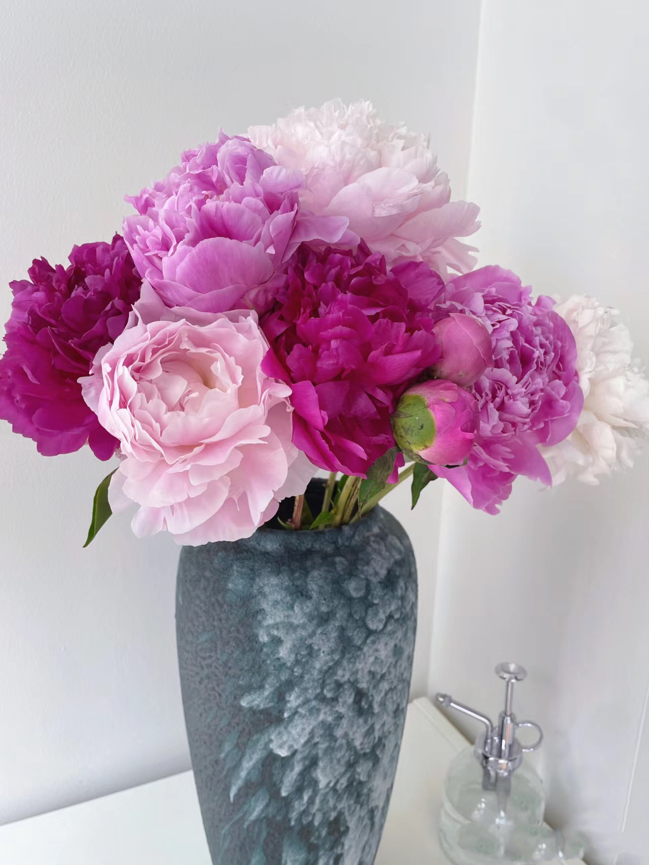 山东A+级芍药鲜花鲜切花花束水养插花水培大花苞基地直发