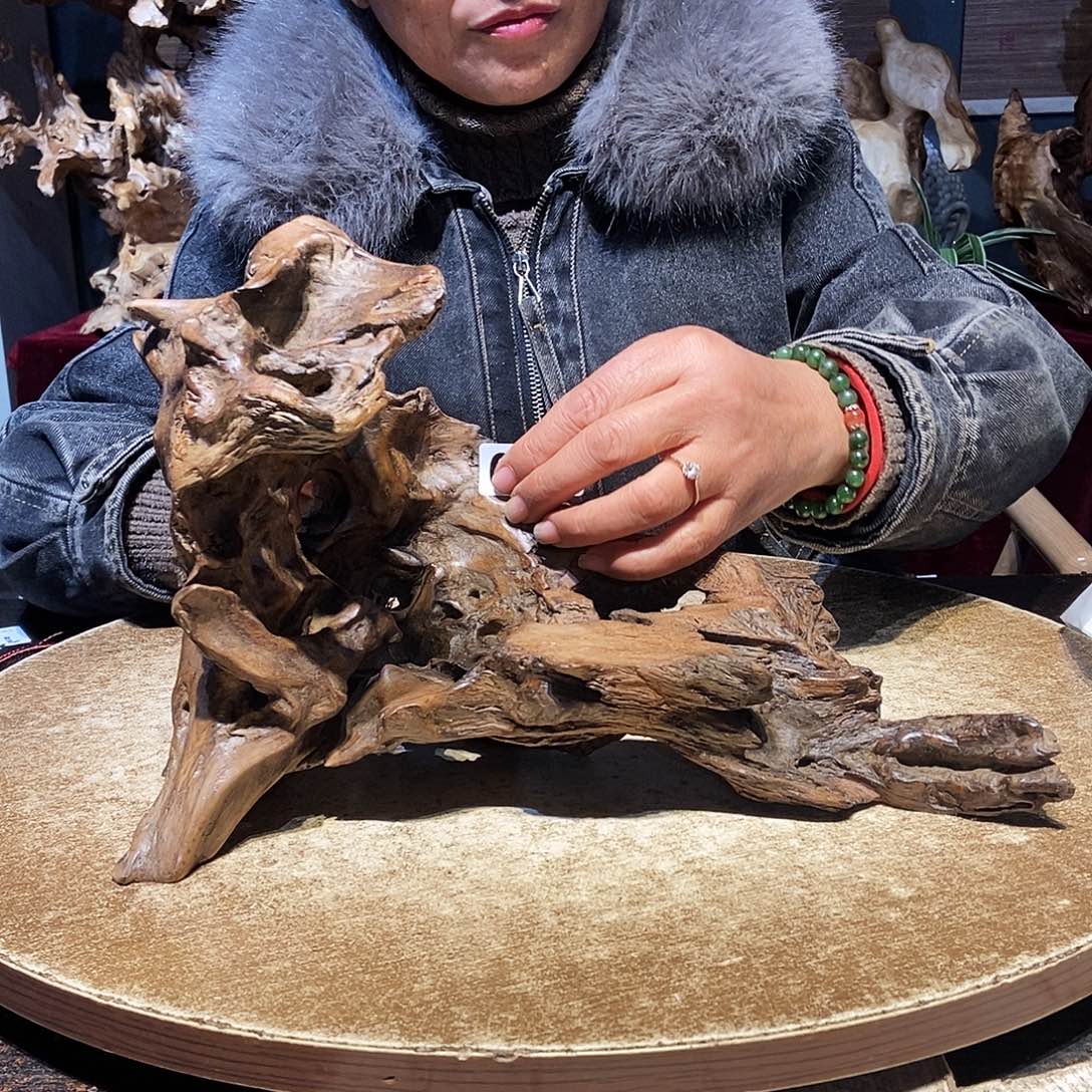 暮***曲098。株木随行根艺