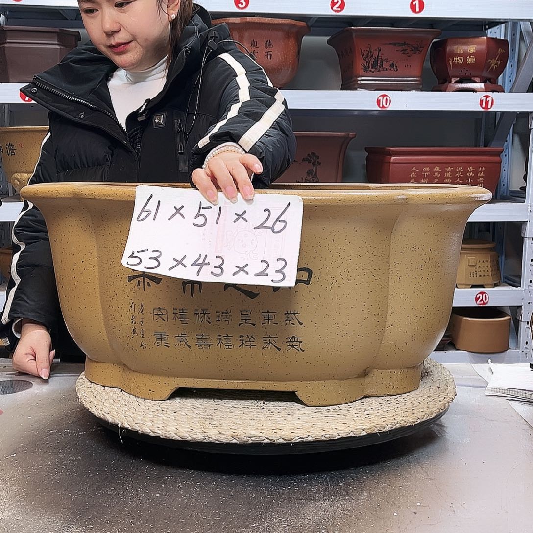 紫砂花盆紫砂花盆