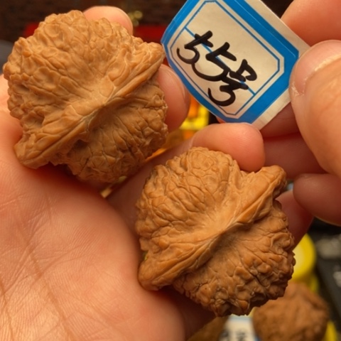 文玩核桃吊坠血麒麟41