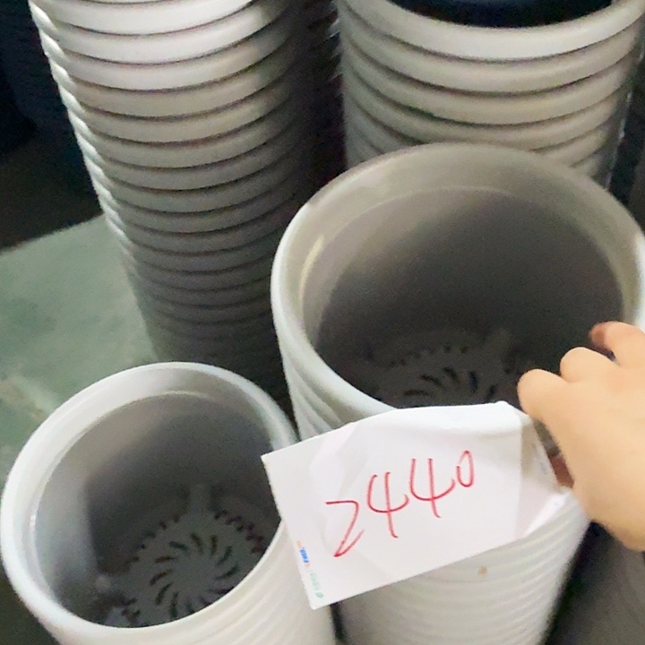 编号2440瑕疵的3号10个