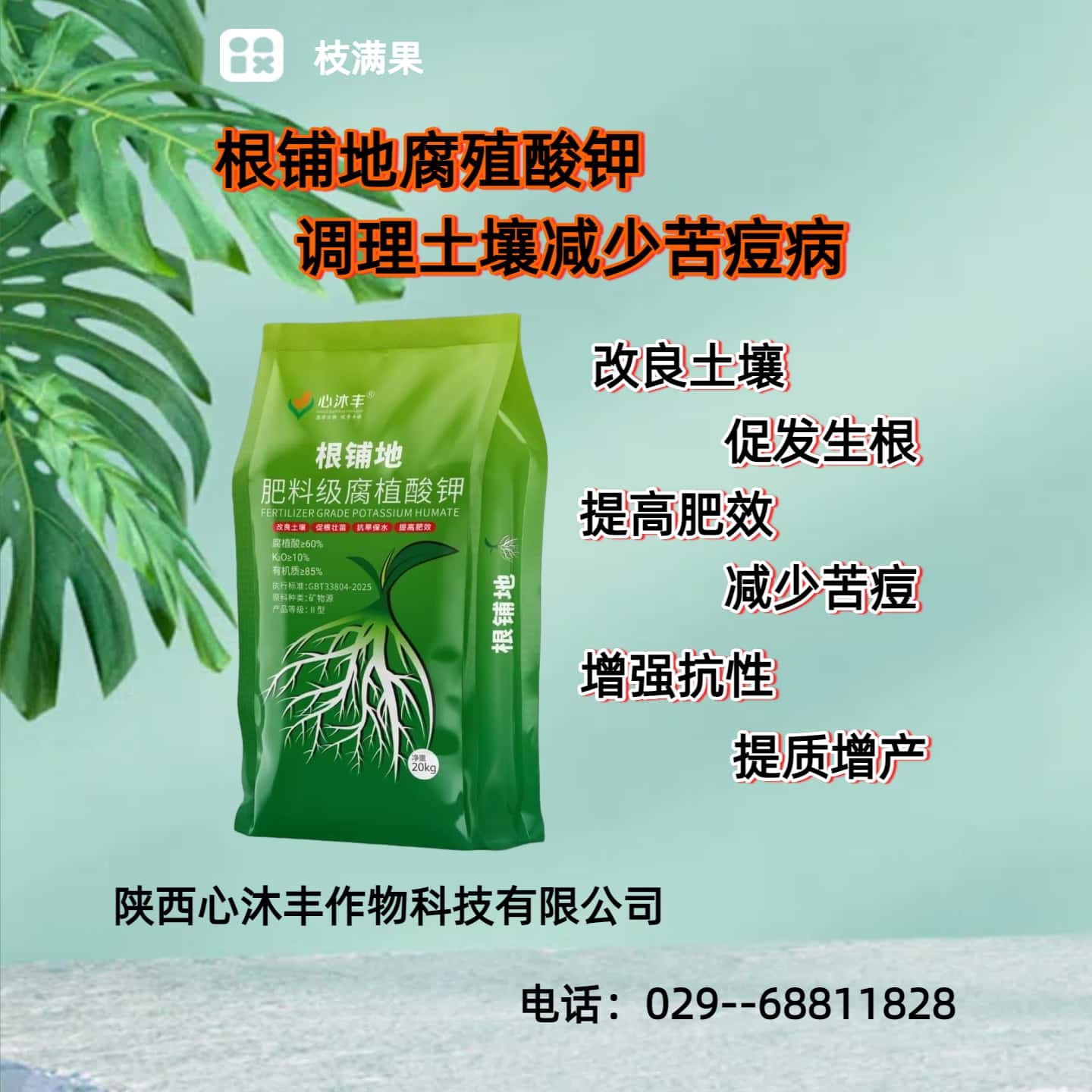 根铺地矿源腐殖酸原粉