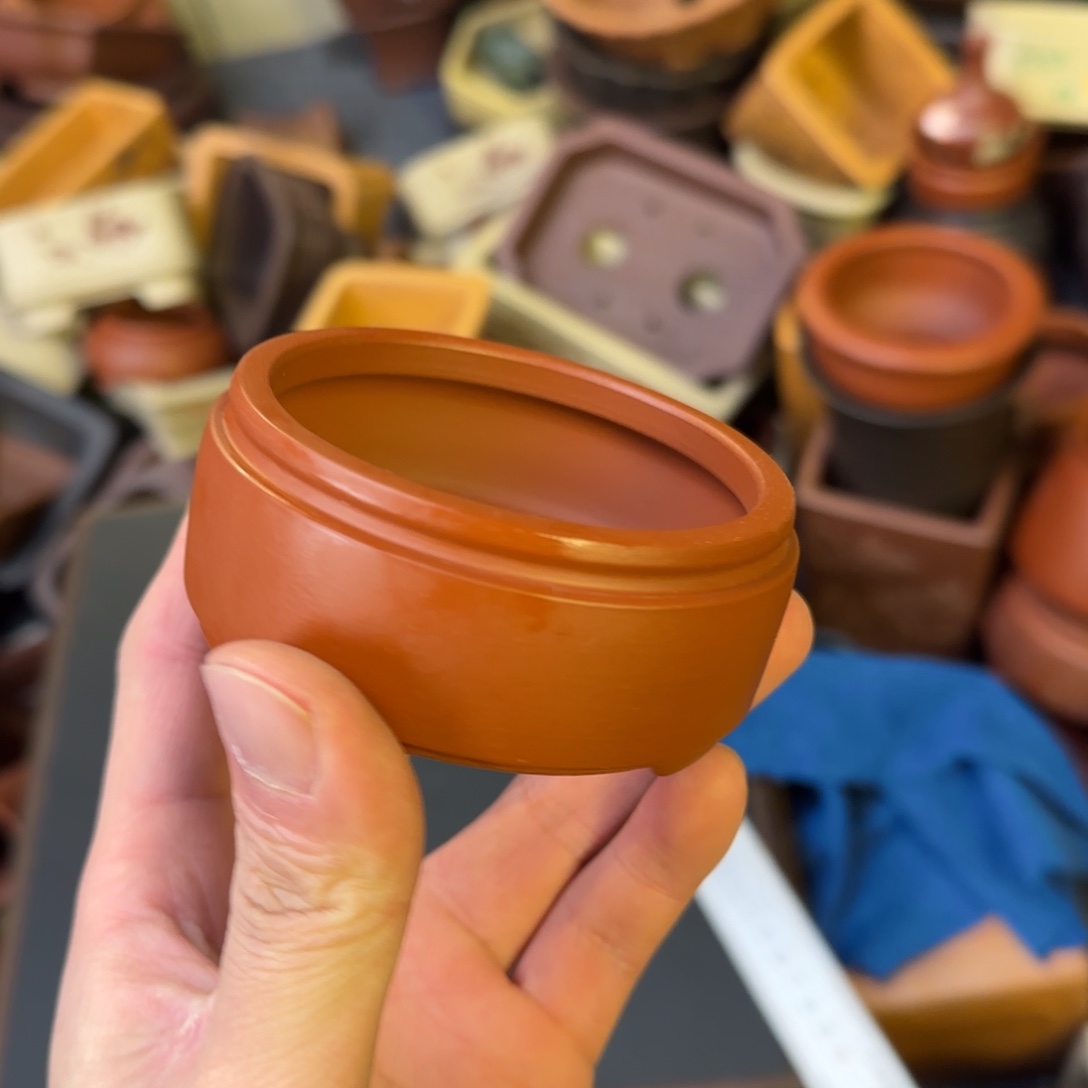 泥塑vvvvvvvvvvvvv大红袍