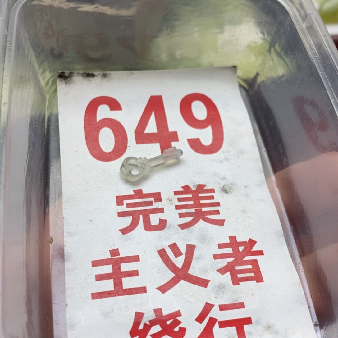 蛇纹石玉未镶嵌挂坠