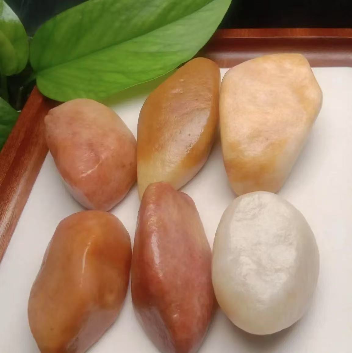 新疆戈壁三彩盆景石 黄蜡石 三彩石 泥石（一物一拍，多样性发货）