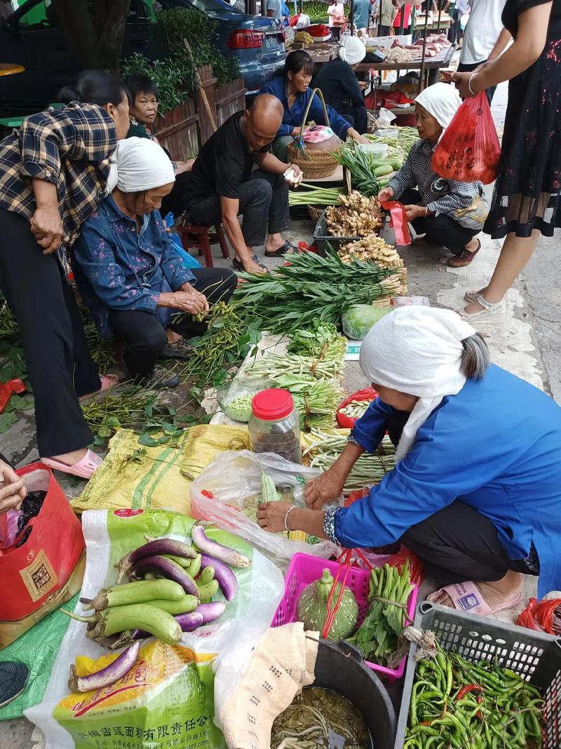 蔬菜山货农村乡下赶集