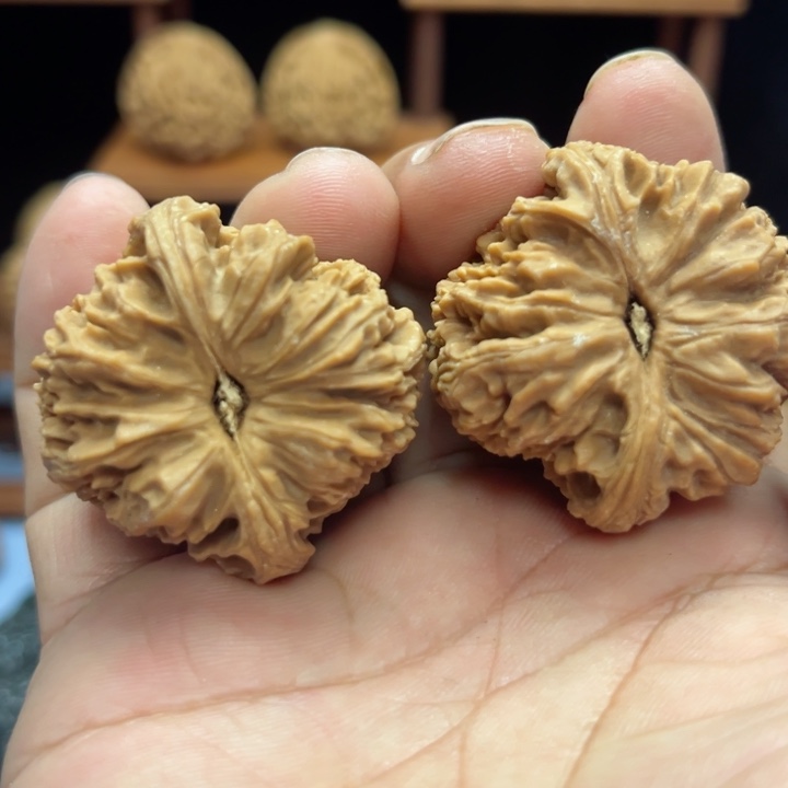 完全开放八***十南疆石