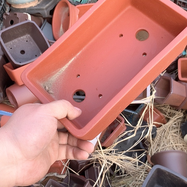 紫砂没有那么重要的人在我们心中