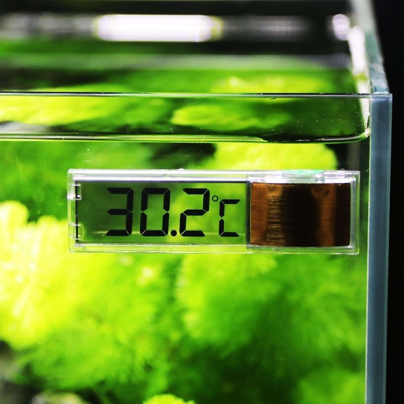 数显鱼缸透明温度计液晶迷你水温计高精度内置外置水族温度显示计