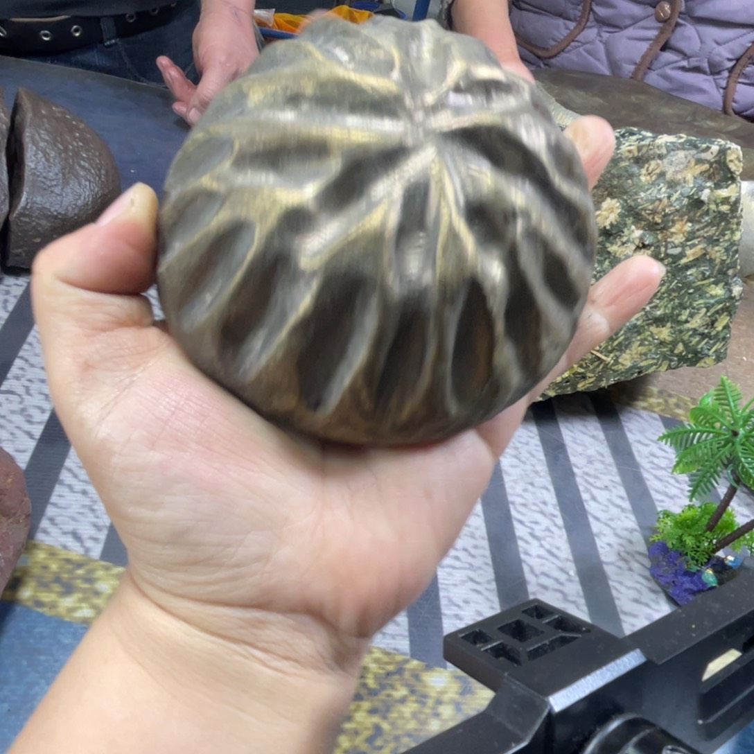 全场观众欢呼着一曲