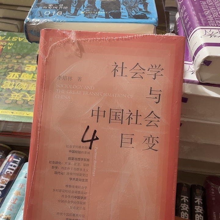 社会学与中国社会巨变：微瑕11