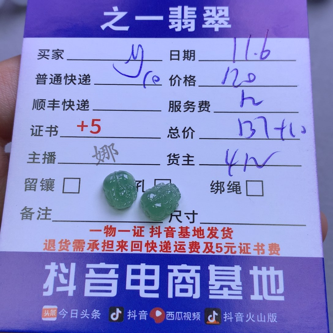 颈饰未镶嵌翡翠y*环