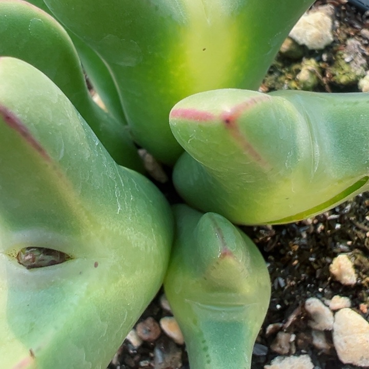 a****r313号1111111111111