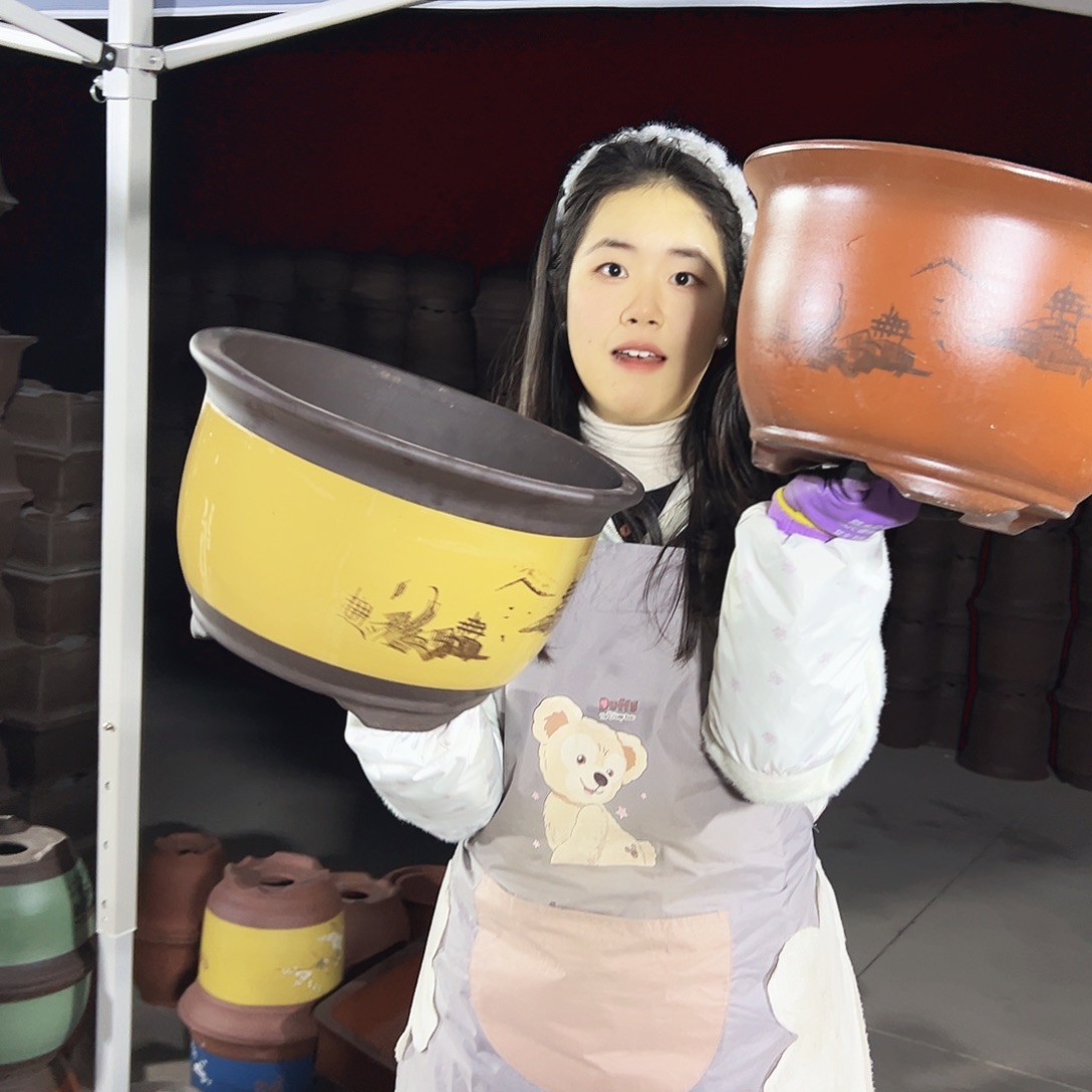 35紫气东来+002花盆花盆花盆