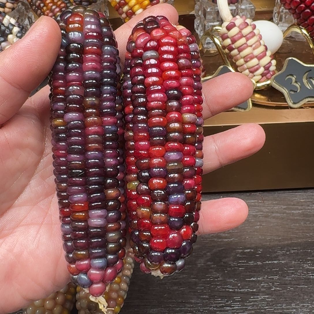 素***生柏香籽/百香籽吊坠