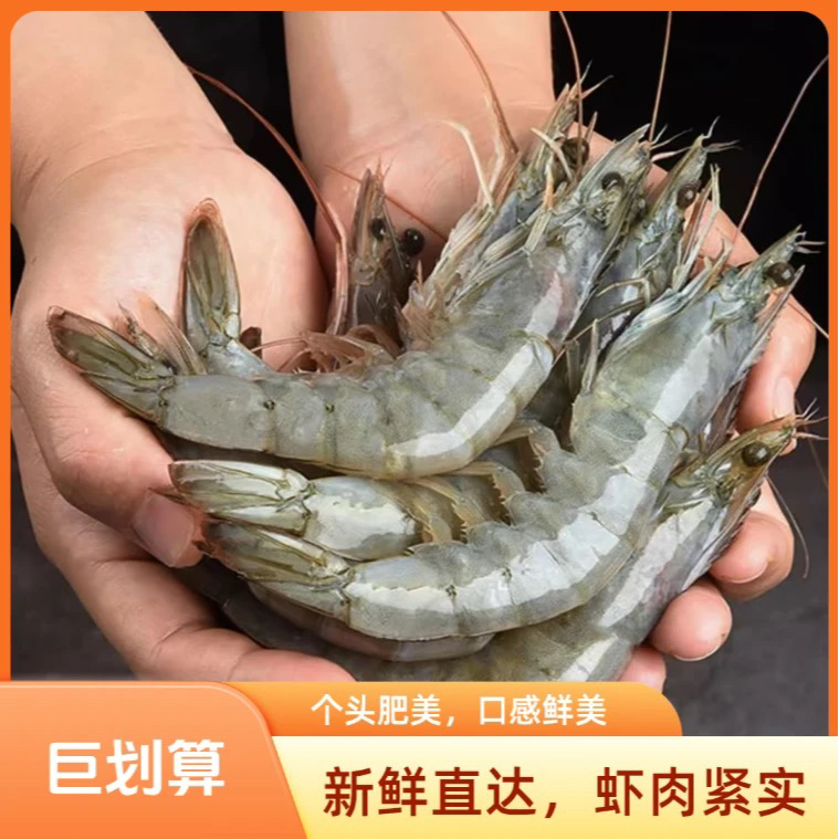 【次日达顺丰京东雪姐】4斤海水大虾发货三斤送一斤试吃13-16cm左右鲜活速冻锁鲜肉质紧实 白灼红烧爆炒精品