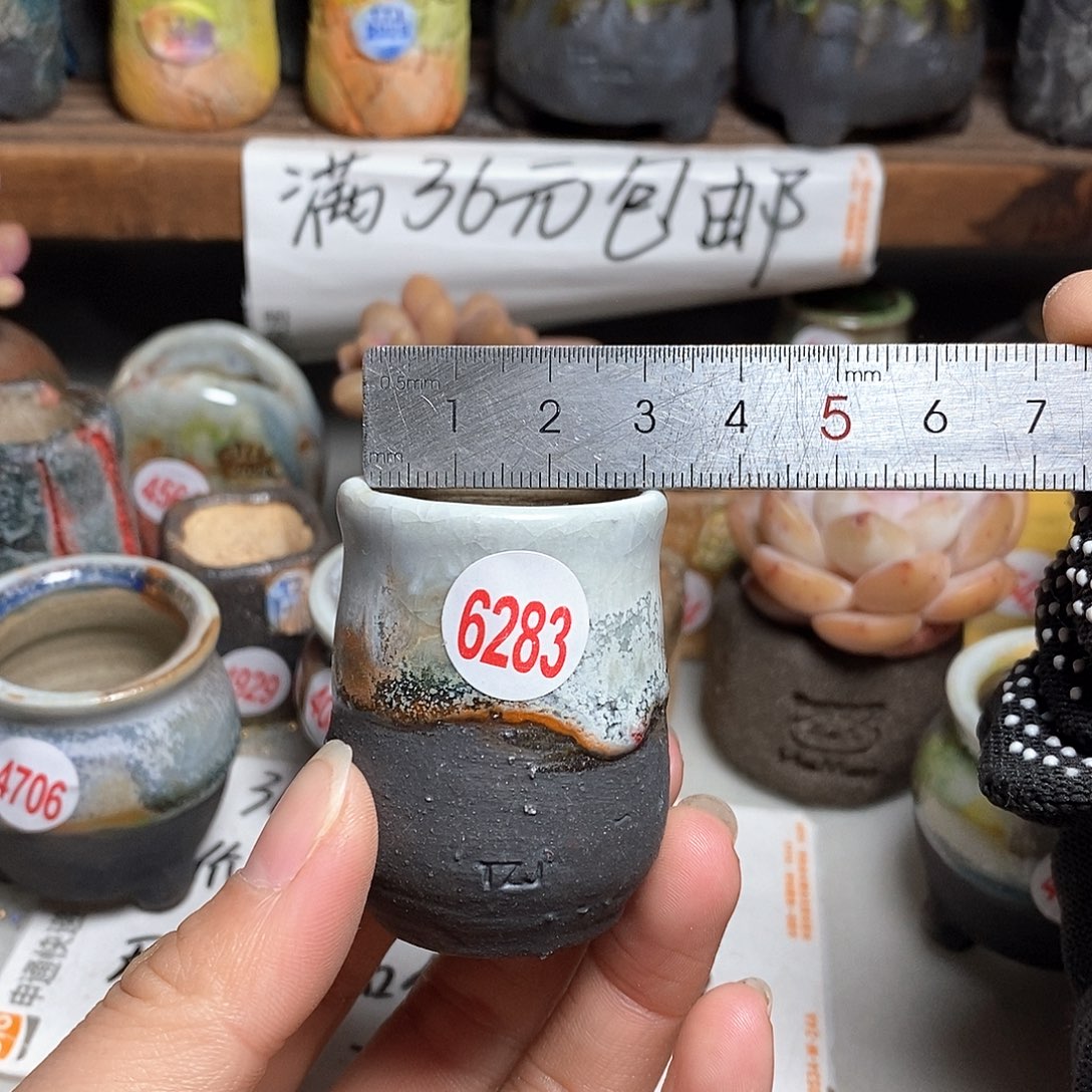 红陶拍5送一个小