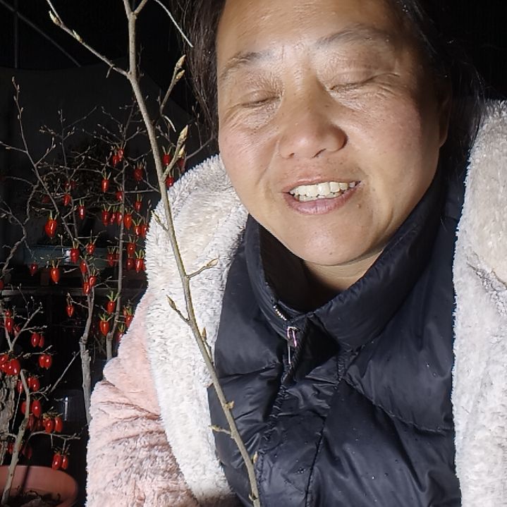 ꒰***꒱无花朵1568898898 