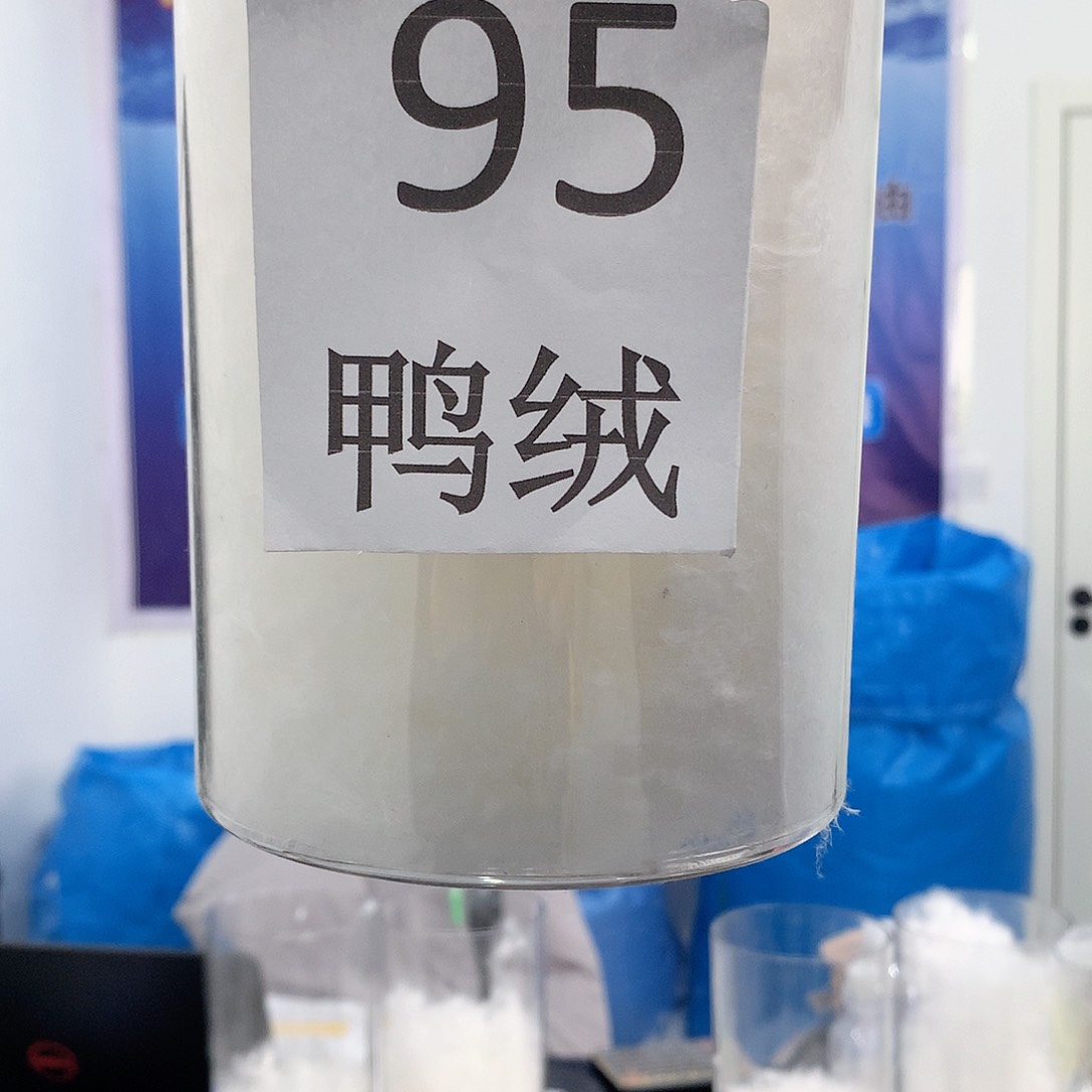小*彩1千300克95白鸭绒