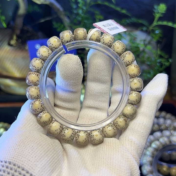 归***里星月菩提手串海南原生态