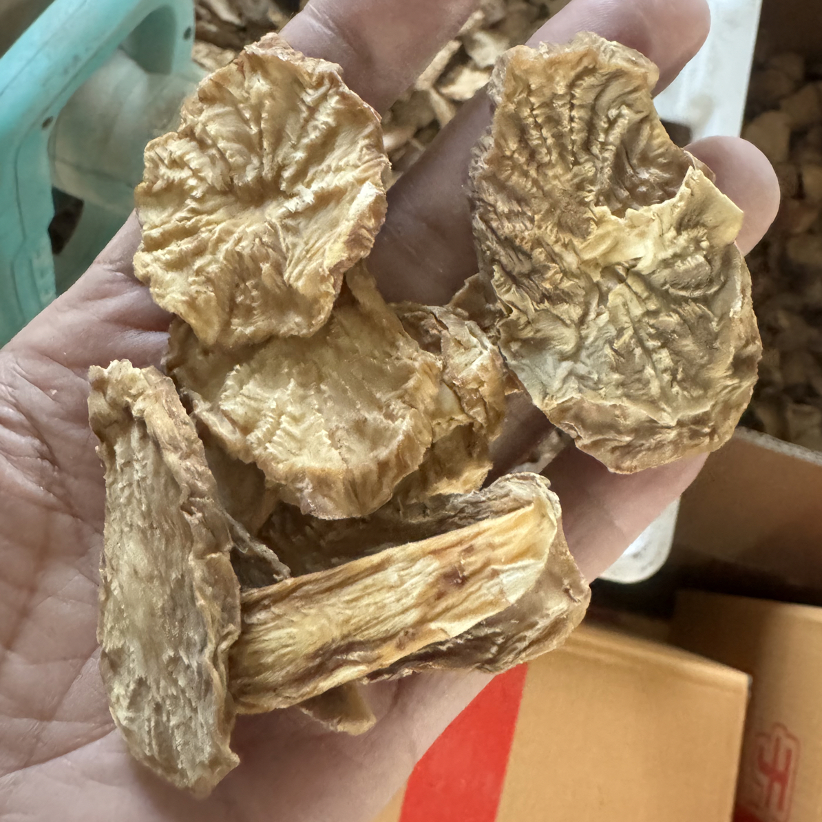 新疆塔克拉玛干沙漠肉苁蓉干片产地直发可泡茶煲汤