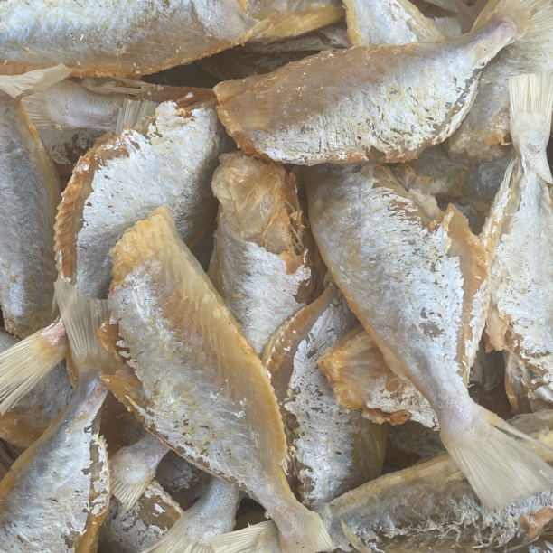 [海鲜书记]大眼鱼干 大眼鸡扒皮鱼 咸鱼干新鲜晒干去头