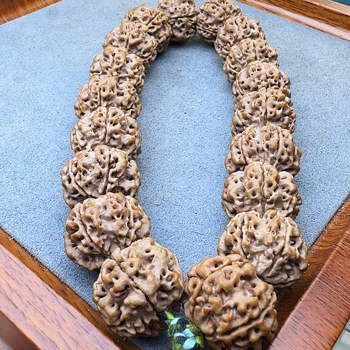 金刚菩提吊坠粗筋蜂窝双龙