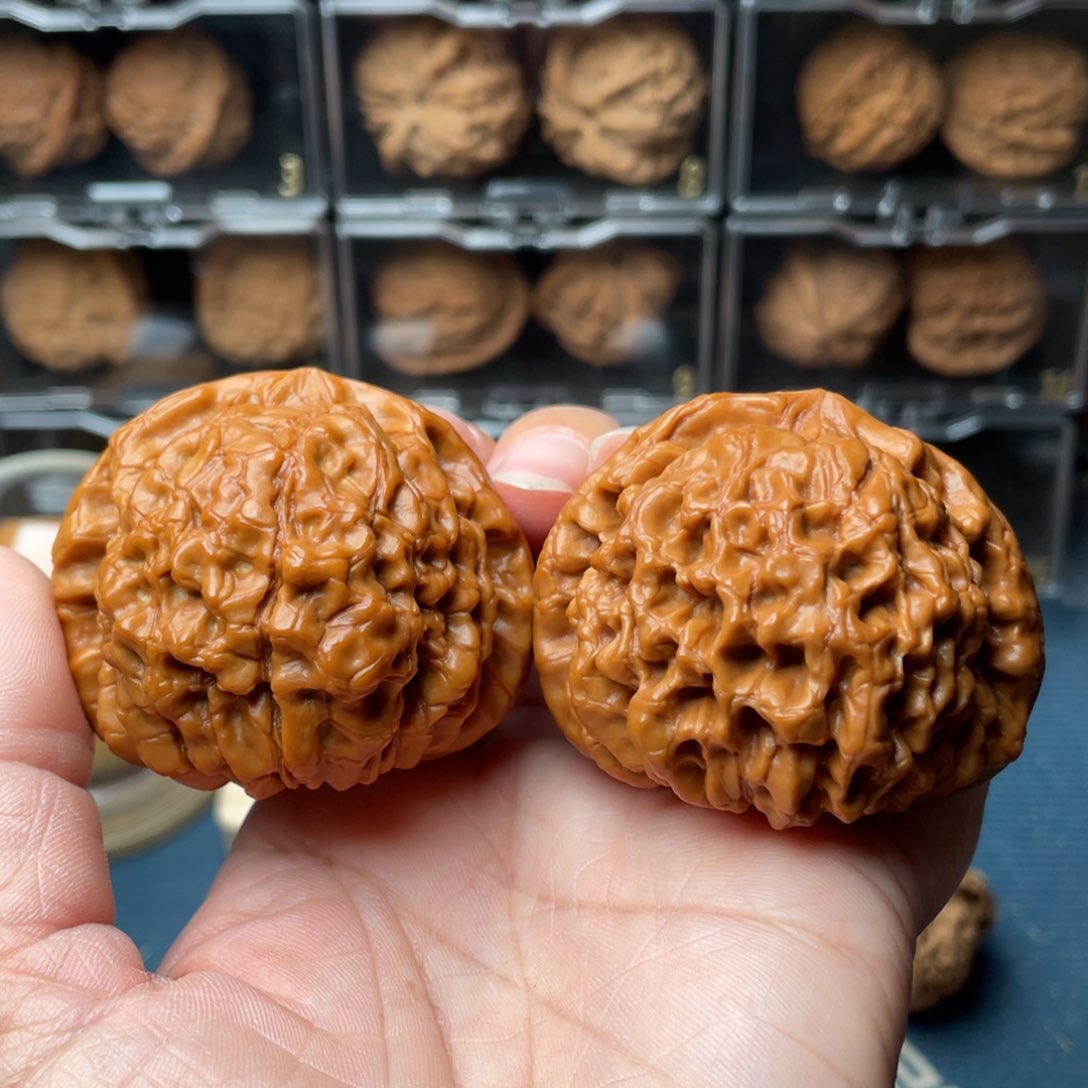 文玩核桃把件52+龙鼎