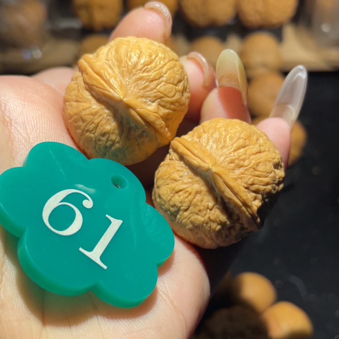 龙珠31尺寸核桃。    
