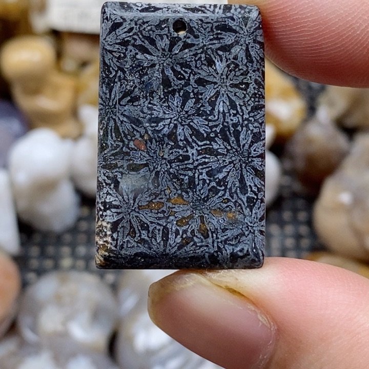 颈饰未镶嵌硅化珊瑚（珊瑚玉）小
