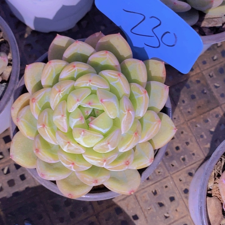 你也别来啊这就是