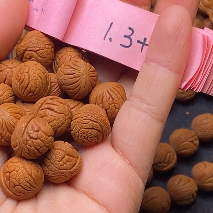 秦岭龙纹桃核18颗