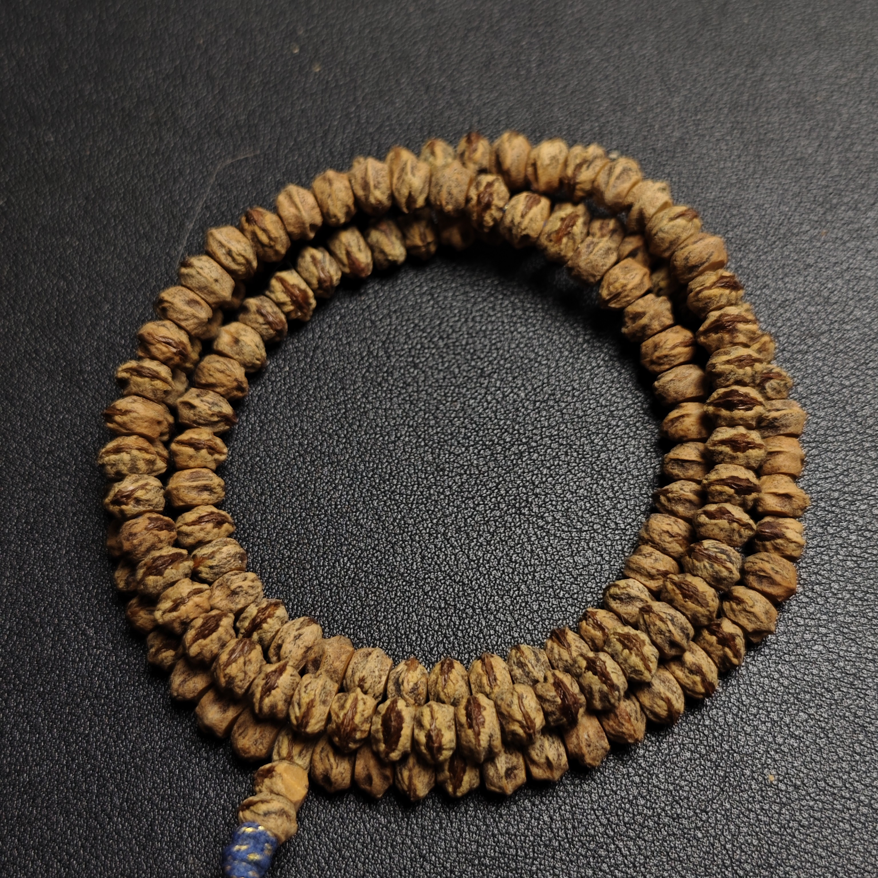 热振红芽横打百香籽大尺寸