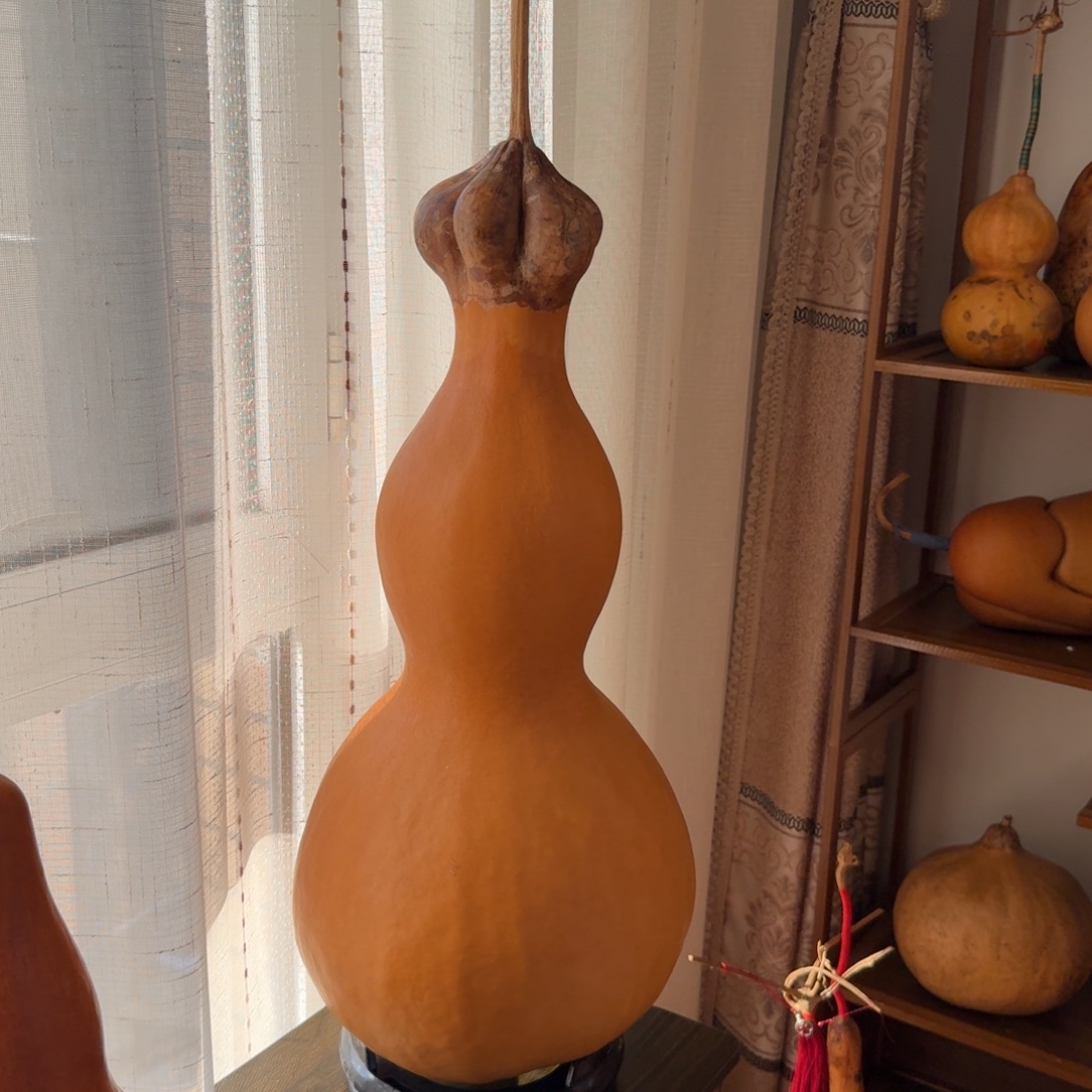 老皮大八宝莲花头