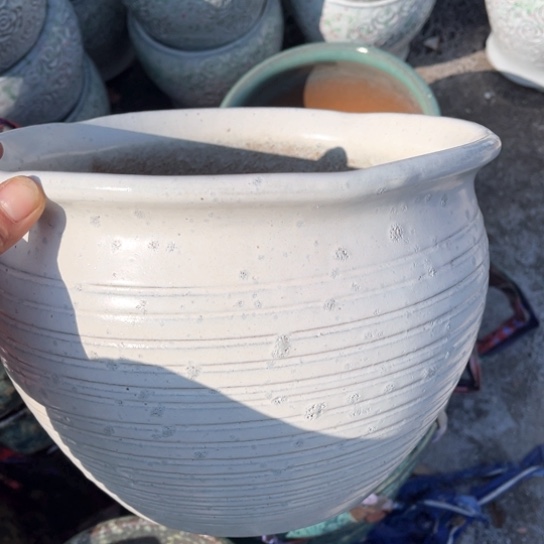 红陶口26高19正品