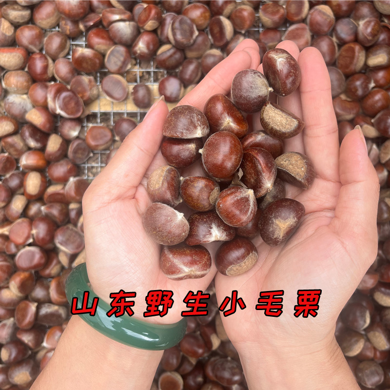 正宗山东板栗小毛栗子油栗子软糯香甜可蒸可炒可生吃黄心好剥皮