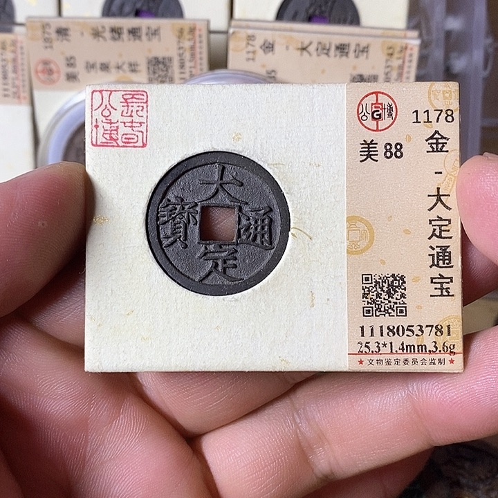 铜大定通宝元定泉藏