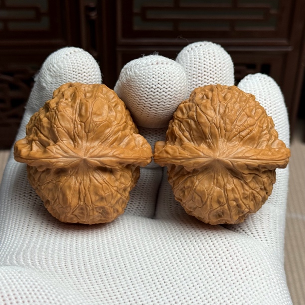 精选南瓜墩狮子头，边41肚42高31，一代老树凹底南瓜墩一物一图全品